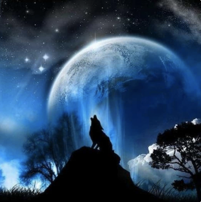 Luna llena de enero: Luna Lobo y 1a luna llena de 2022