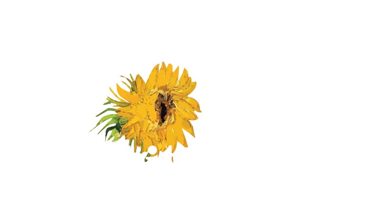Exposición de Van Gogh Houston: La experiencia inmersiva