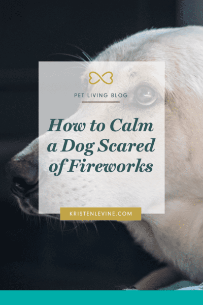 Cómo calmar a un perro asustado de fuegos artificiales