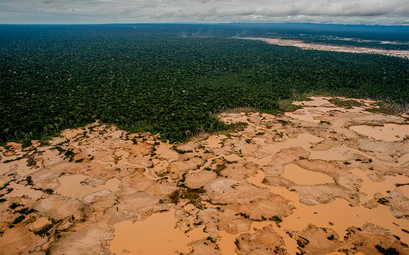 Minería de oro en la Amazonía