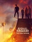 ¡Animal Kingdom Temporada 6 llega a España!
