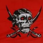One Piece: La Bandera Pirata de los Piratas